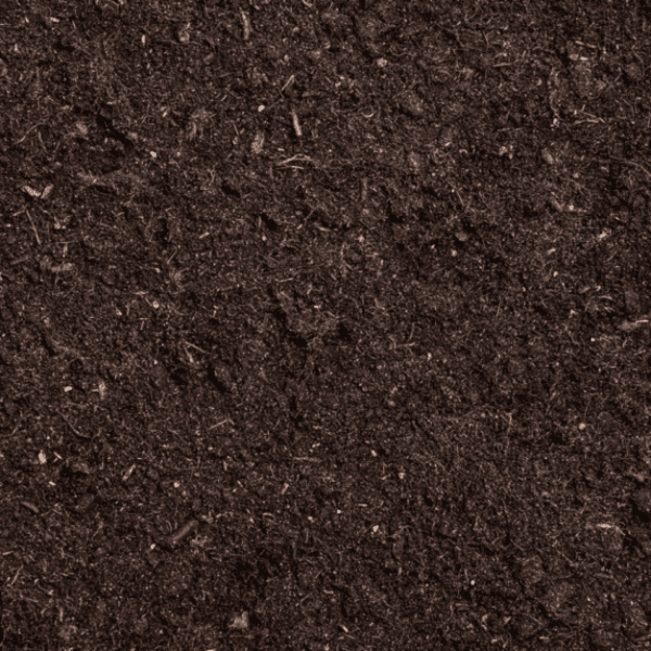 TOPSOIL - LOOSE
